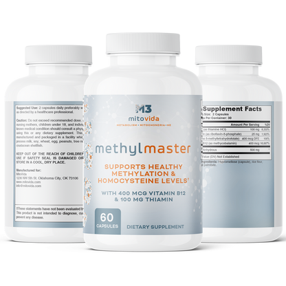 MethylMaster