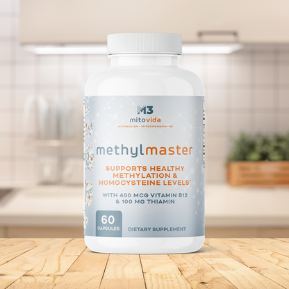 MethylMaster