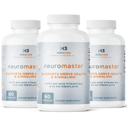 NeuroMaster